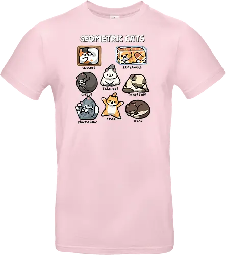 Geometric Cats