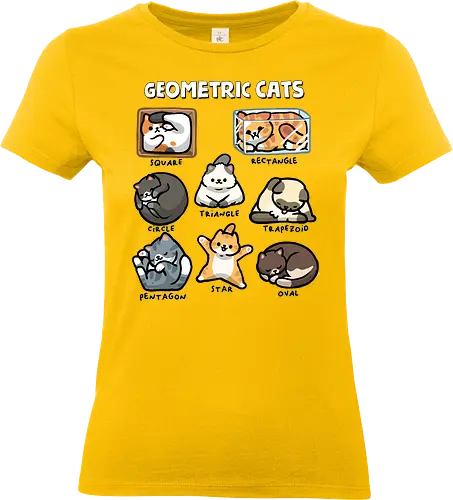 Geometric Cats - cats, abstract, cat, geometric, geometry, kitten, kitty, math, mathematics, pets, shape, star, teacher, triangle - Standard T-Shirt (Women)
