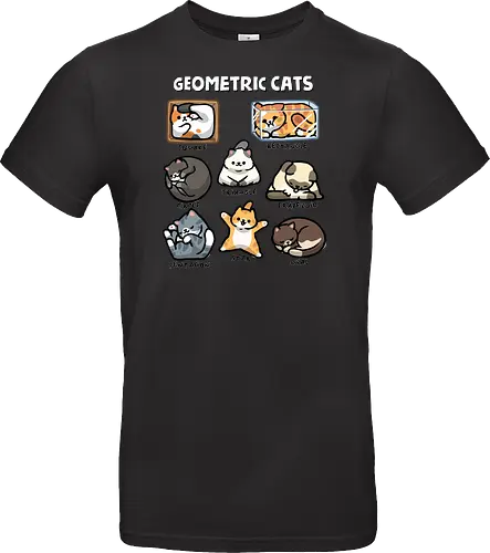 Geometric Cats