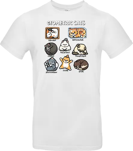 Geometric Cats