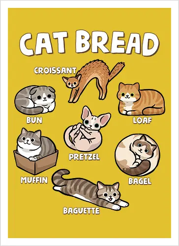 Cat Bread