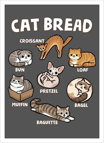 Cat Bread