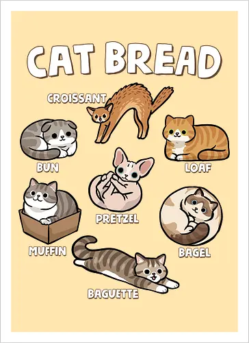 Cat Bread