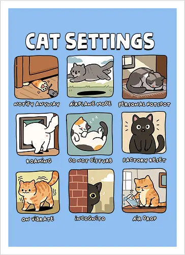Cat Settings