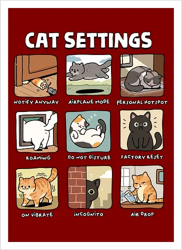 Cat Settings