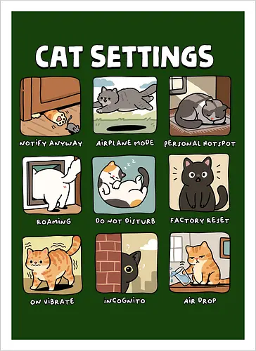 Cat Settings