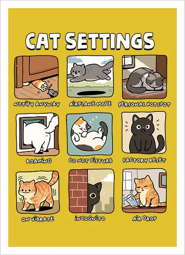 Cat Settings