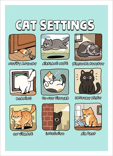 Cat Settings