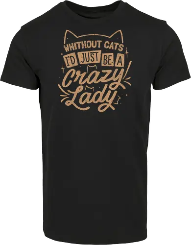 Crazy Lady Without Cats