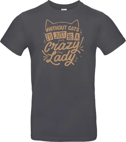 Crazy Lady Without Cats