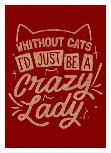 Crazy Lady Without Cats