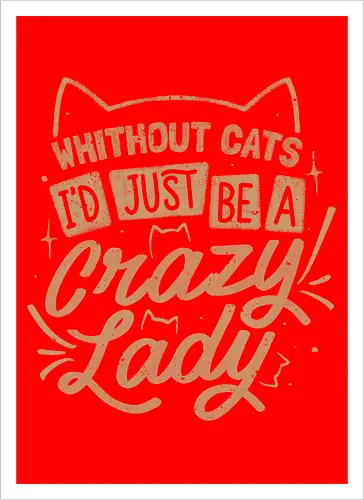 Crazy Lady Without Cats