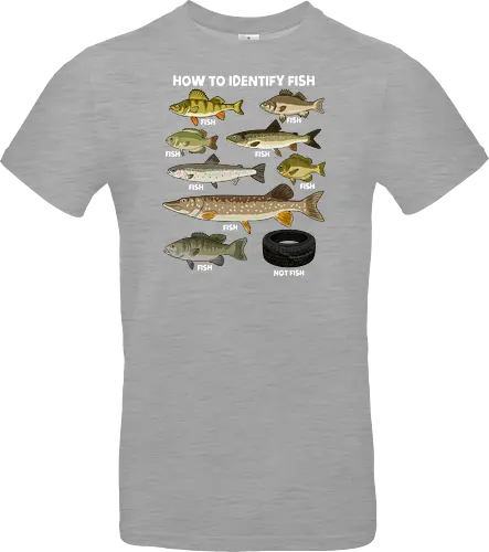 How to Indetify Fish