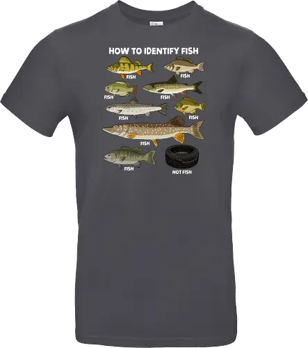 How to Indetify Fish