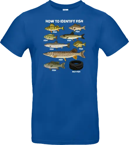 How to Indetify Fish