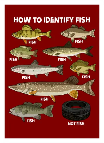 How to Indetify Fish