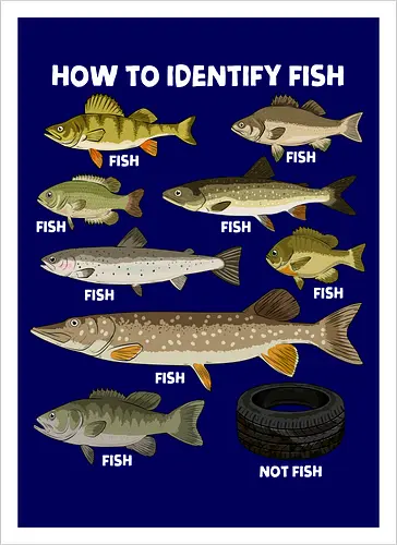 How to Indetify Fish