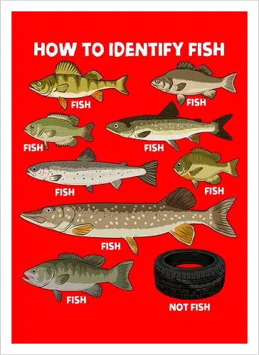 How to Indetify Fish
