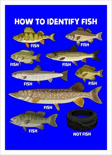 How to Indetify Fish