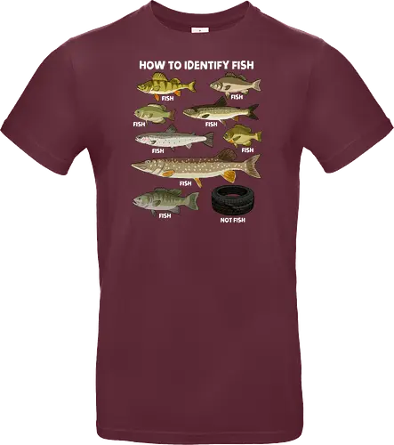 How to Indetify Fish