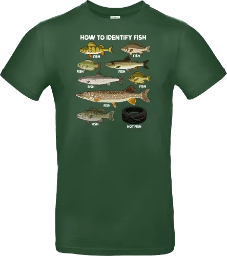 How to Indetify Fish