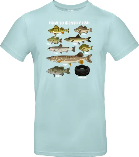 How to Indetify Fish