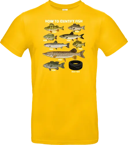 How to Indetify Fish