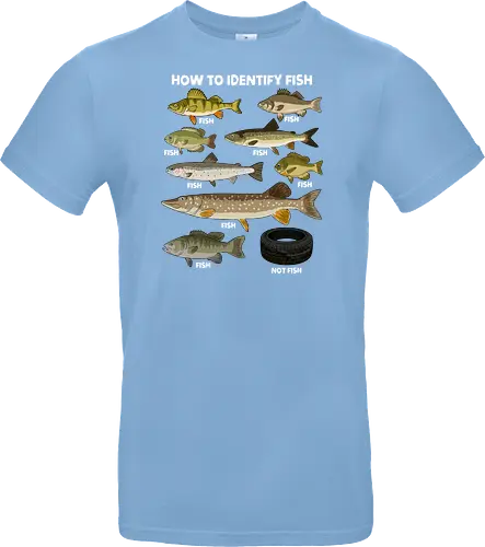 How to Indetify Fish