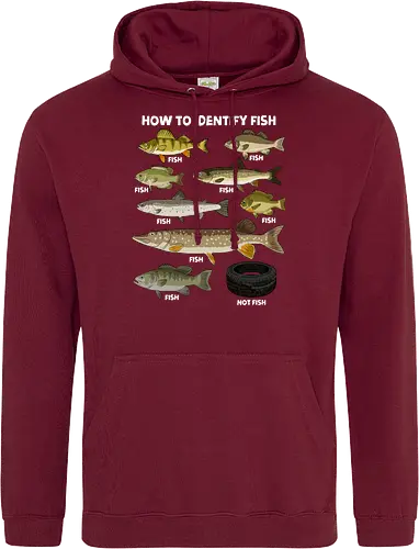 How to Indetify Fish