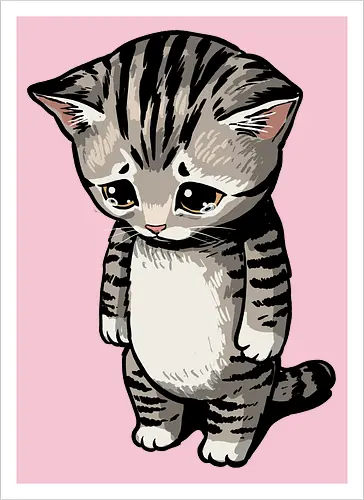 Sad Cat Meme