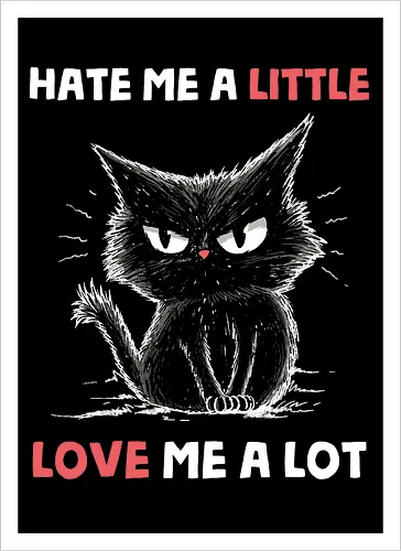 Hate Me A Little Love Me A Lot