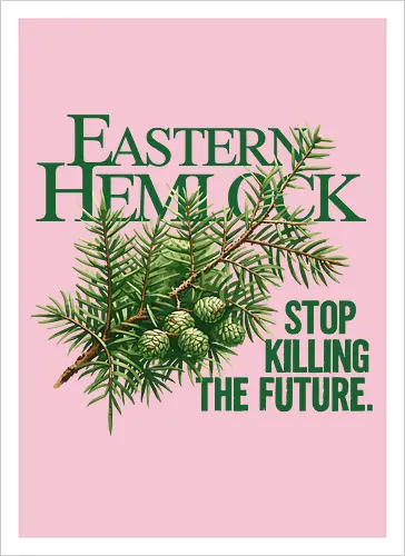 Natur Östliche Hemlocktanne – Kunst zur Sensibilisierung für den Wald