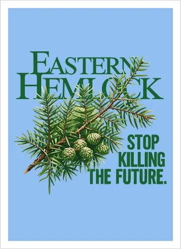 Natur Östliche Hemlocktanne – Kunst zur Sensibilisierung für den Wald