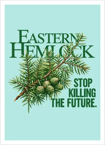 Natur Östliche Hemlocktanne – Kunst zur Sensibilisierung für den Wald