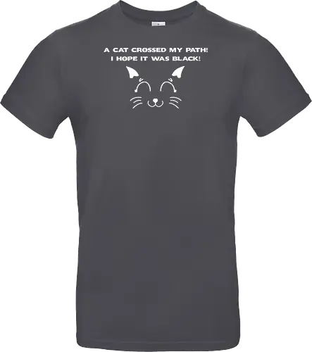 Eine schwarze Katze hat meinen Weg gekreuzt – ich liebe schwarze Katzen