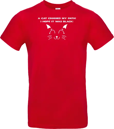 Eine schwarze Katze hat meinen Weg gekreuzt – ich liebe schwarze Katzen