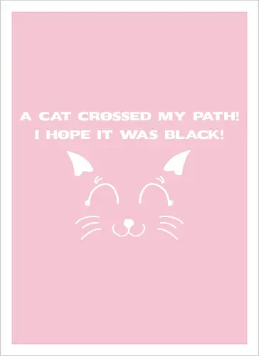 Eine schwarze Katze hat meinen Weg gekreuzt – ich liebe schwarze Katzen