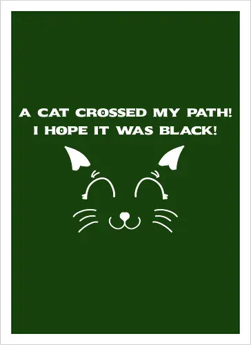Eine schwarze Katze hat meinen Weg gekreuzt – ich liebe schwarze Katzen