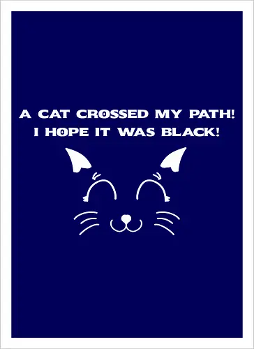 Eine schwarze Katze hat meinen Weg gekreuzt – ich liebe schwarze Katzen