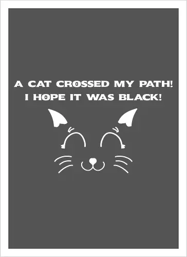 Eine schwarze Katze hat meinen Weg gekreuzt – ich liebe schwarze Katzen
