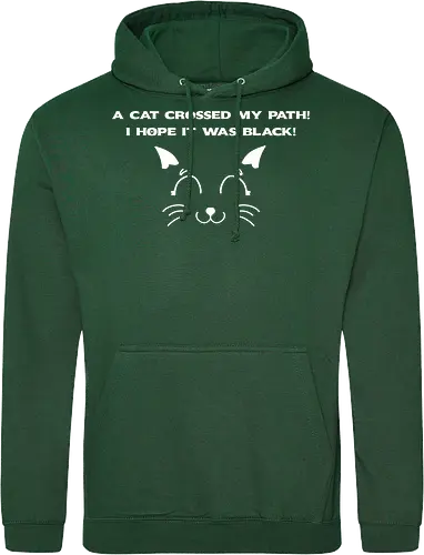 Eine schwarze Katze hat meinen Weg gekreuzt – ich liebe schwarze Katzen