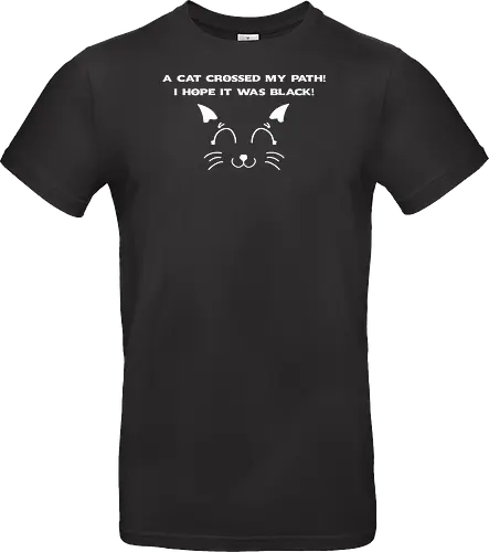 Eine schwarze Katze hat meinen Weg gekreuzt – ich liebe schwarze Katzen