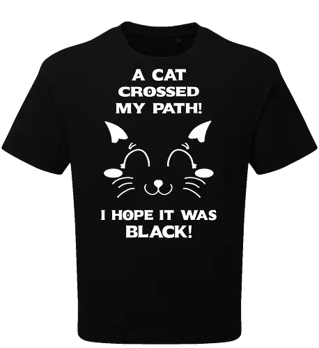 Eine schwarze Katze hat meinen Weg gekreuzt – ich liebe schwarze Katzen