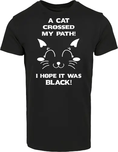 Eine schwarze Katze hat meinen Weg gekreuzt – ich liebe schwarze Katzen