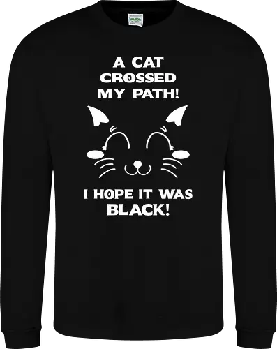 Eine schwarze Katze hat meinen Weg gekreuzt – ich liebe schwarze Katzen