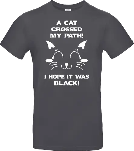 Eine schwarze Katze hat meinen Weg gekreuzt – ich liebe schwarze Katzen