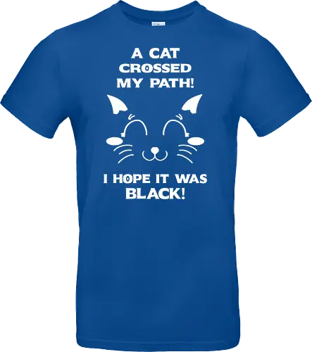 Eine schwarze Katze hat meinen Weg gekreuzt – ich liebe schwarze Katzen