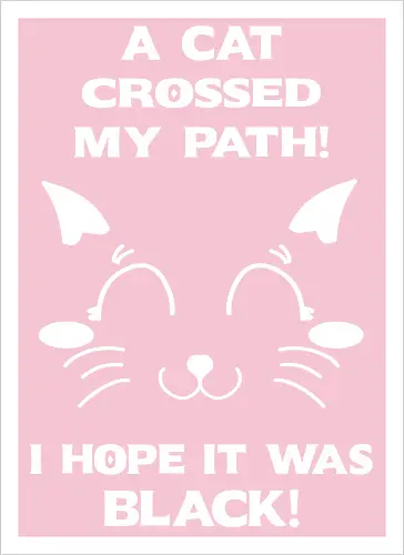 Eine schwarze Katze hat meinen Weg gekreuzt – ich liebe schwarze Katzen