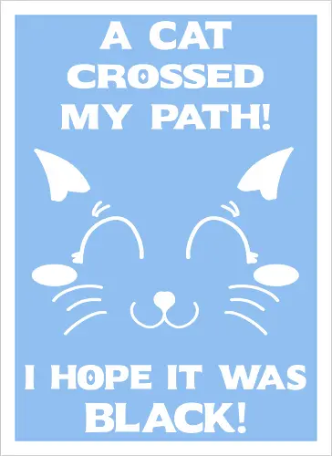 Eine schwarze Katze hat meinen Weg gekreuzt – ich liebe schwarze Katzen