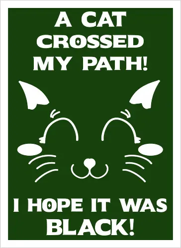 Eine schwarze Katze hat meinen Weg gekreuzt – ich liebe schwarze Katzen